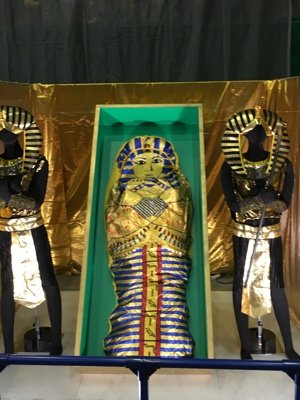 qJlGfiYE0bewqrL's profile picture. 🚹です　愛知　岐阜　三重　
知的好奇心が旺盛。色んな人に繋がりたいので
フォロバします #フォロバ #フォロバ100 #相互フォロー