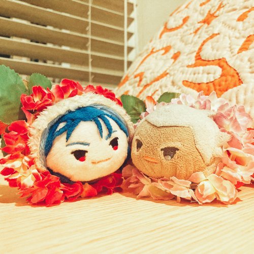 いちにの🍙さんのプロフィール画像