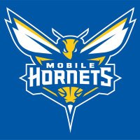 Mobile Lady Hornets (@hornets_mobile) 's Twitter Profile