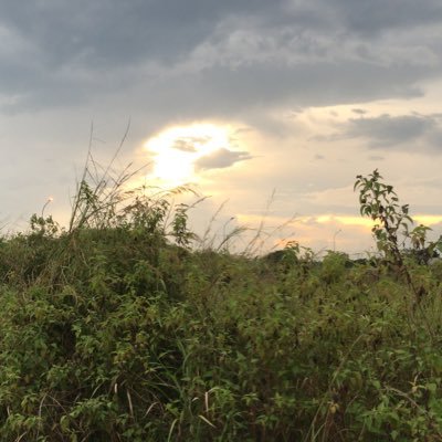 andrade98765432's profile picture. Étudiant