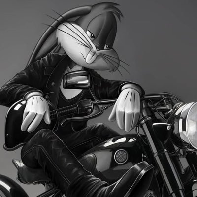 tengfei855's profile picture. Multilingual Enterprise Consultant.