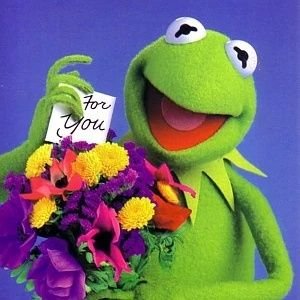 hrn 🐸さんのプロフィール画像