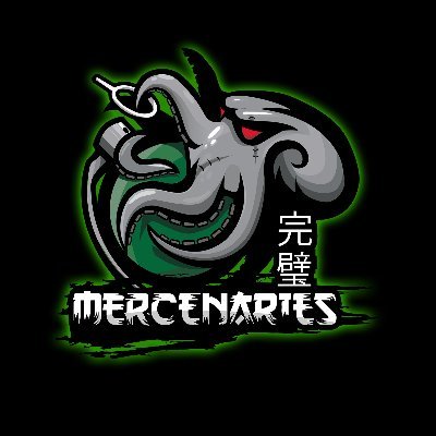 🔥🔥🔥Best R6S Team since 2022!!!🔥🔥🔥
This is the official Account of 🐙Mercenaries🐙....
if you have the Balls to play against us feel free to contact us 😜✉