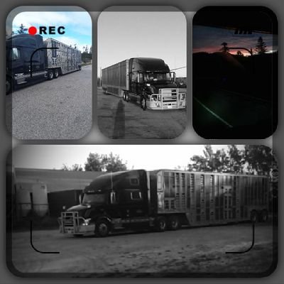 mikenunn0507's profile picture. just a dumb pig farmer....