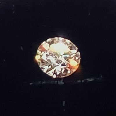 Rudi_Terrier's profile picture. 