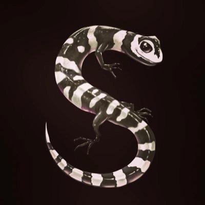kingsalamander_ Profile Picture