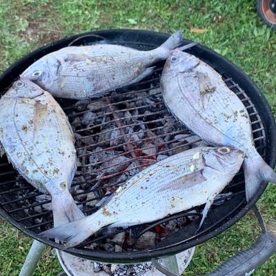 peek_78's profile picture. 