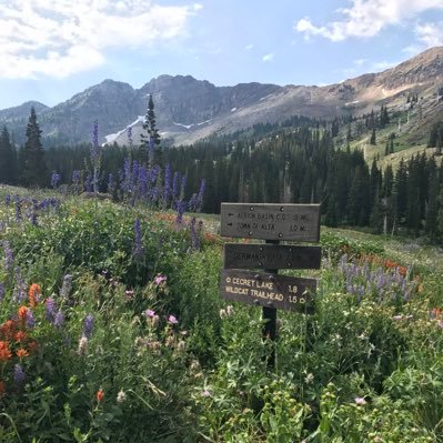 WestVaJazzGuy's profile picture. Bigly