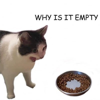 photokojixus's profile picture. I like cats | Business Management Student | Freelance Photographer Founder of @validityhosting