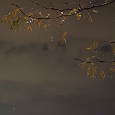 biancamarieok's profile picture. 