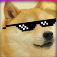 ChrisHardieJr's profile picture. 
