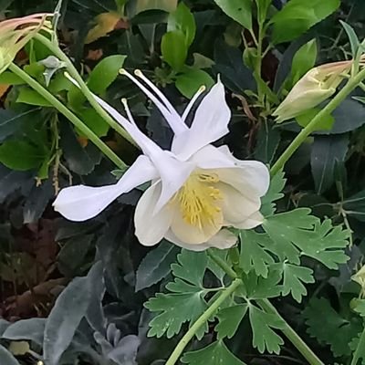 M_Vercelletto's profile picture. Documentaliste de presse Valmonde #numérique #kiosque numérique #agrégateurs #diffusion numérique