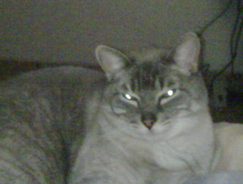 myriamortega's profile picture. 