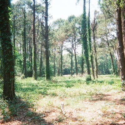 trusttheerotic's profile picture. 