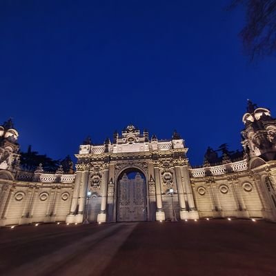 FurkanTortugo's profile picture. 