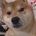 fuyjjssn (@fuyjjssn) Twitter profile photo fuyjjssn (@fuyjjssn) Twitter profile photo