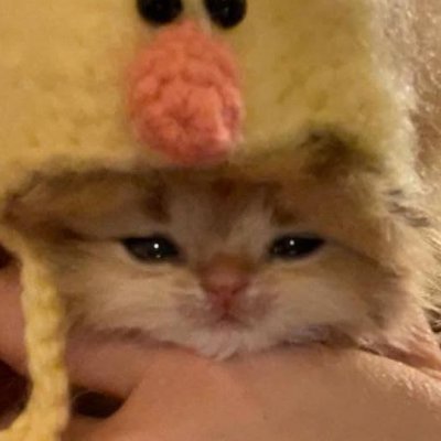 Exalさんのプロフィール画像