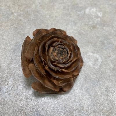 kcdkkskb's profile picture. 