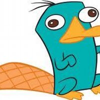 Perry The Platypus (@daperryplatypus) 's Twitter Profile