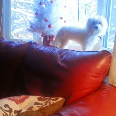 cordle_randy's profile picture. Just have fun