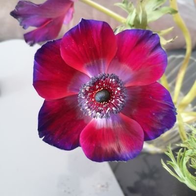 jahn_karin's profile picture. 