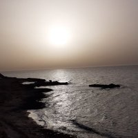 abdulhakeem (@janzoure) Twitter profile photo
