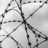 Anton_S__LA's profile picture. 