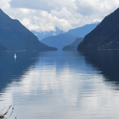 mehrdadfoto's profile picture. Love nature and landscape photography