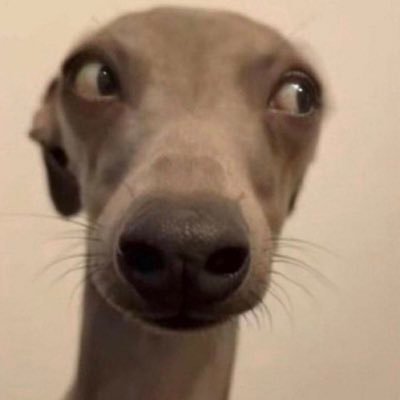 yeashtinfection's profile picture. 