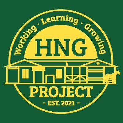 HngProject's profile picture. 