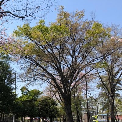 Matiruda_cameko's profile picture. コスプレのカメラマンを始めて11年目の22歳男子です！ イベントに良く出てきますがお手柔らかに…！普段垢→@Kaito20030415