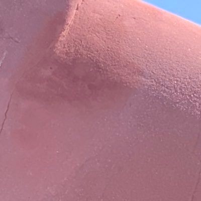 josegrillo0's profile picture. 