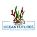 OceanFutures (@oceanfutures1) Twitter profile photo