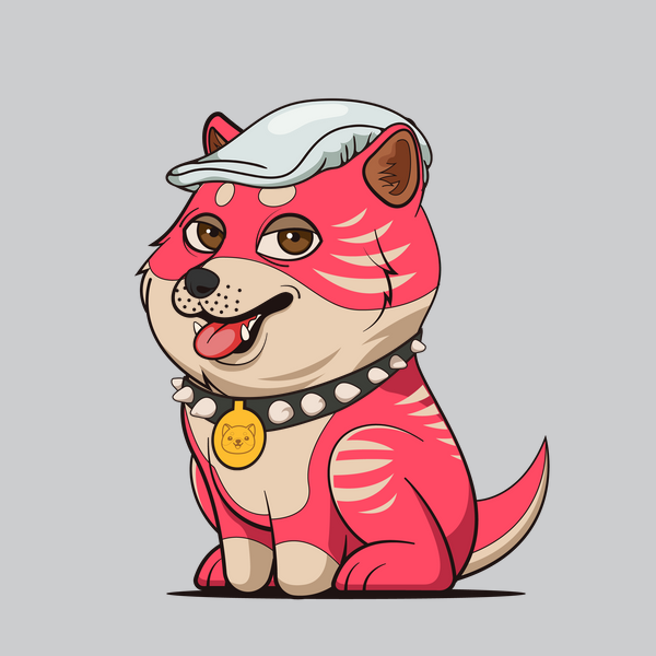 Illustrator, Designer, Programmer, Gamer