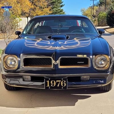 Super fun guy, proud Tesla Model Y owner, and volunteer at the Foothills Animal Shelter in Golden Colorado. Director of the world famous Bandit Trans Am Club!