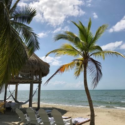 ManuelaBaenaP's profile picture. Administradora de Negocios