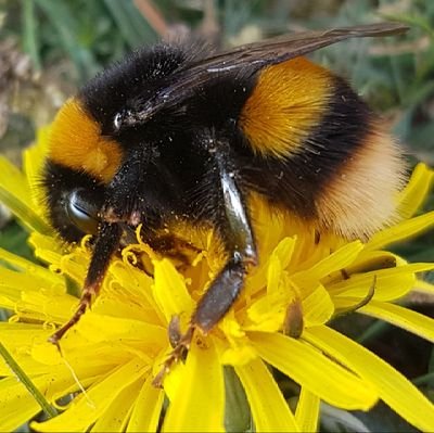 sheilkaren1's profile picture. Passionate about protecting Nature and supporting young people getting their voices heard