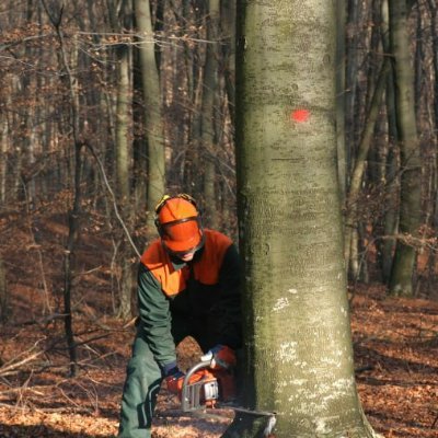 SevenoaksTrees's profile picture. Specialist Arborist serving clients in Sevenoaks and the surrounding areas
01732 443299
sevenoakstreesurgeons@gmail.com
