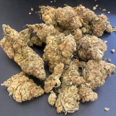 David252536441's profile picture. Burner Acc