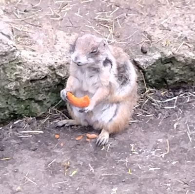 JStellmar's profile picture. 