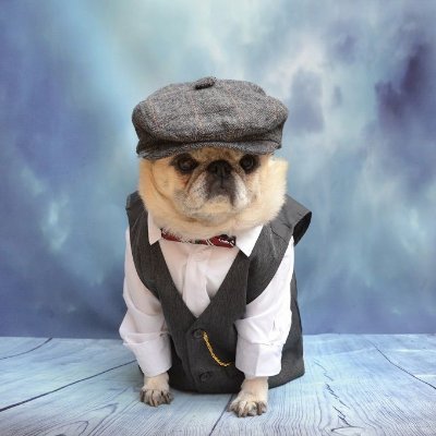 _ArchDev's profile picture. 