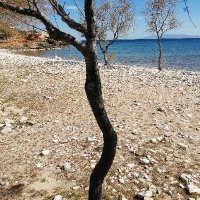 Rui Carmo (@cf7b1510e96543c) 's Twitter Profile