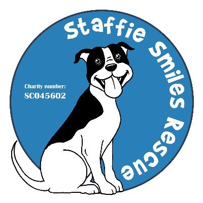 #Staffie rescue! We #rescue death row pound #dogs across the #UK & find them forever homes in #Scotland only. Run by volunteers. #AdoptDontShop SCO45602