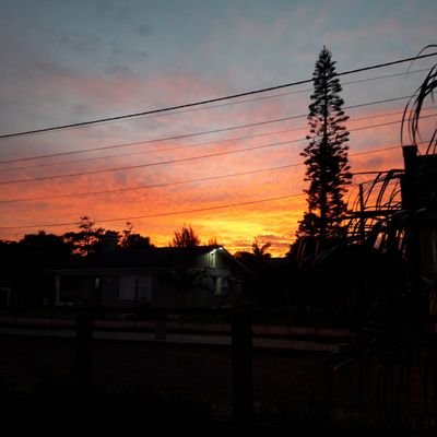 Val50395527's profile picture. Direita já