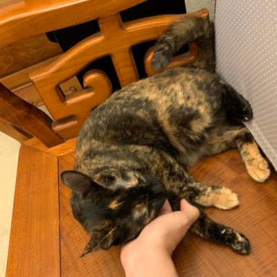 liuwade04's profile picture. 