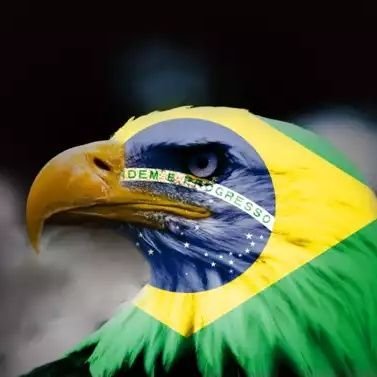 Apenas um rapaz latino-americano que gosta de buscar conhecimento ....
Família! Fé! Pátria!