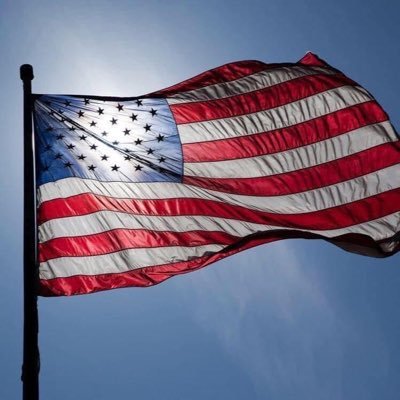 USAProud111 Profile Picture