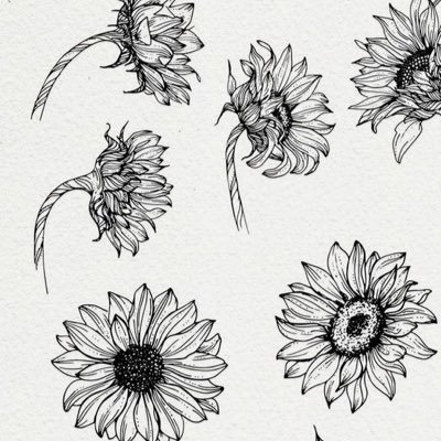 imhereduetoofmd's profile picture. Our Flag Means Death, MUNA, Boygeinus