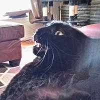 John Mazza (@johnmazza19) 's Twitter Profile