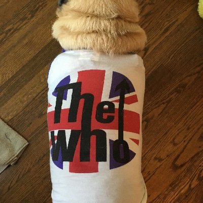 Passionate about God, dogs, and music. IA LIFE Program D214. The Who, Montrose, Hawkwind, Captain Beyond, FM, Nektar. Go Hawkeyes! Stay healthy!